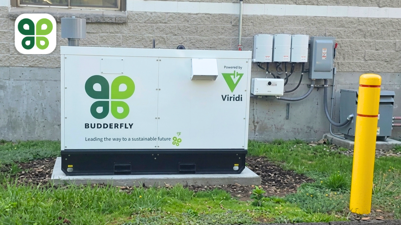Viridi and Budderfly Scale Commercial Battery Storage to 100 Sites Nationwide