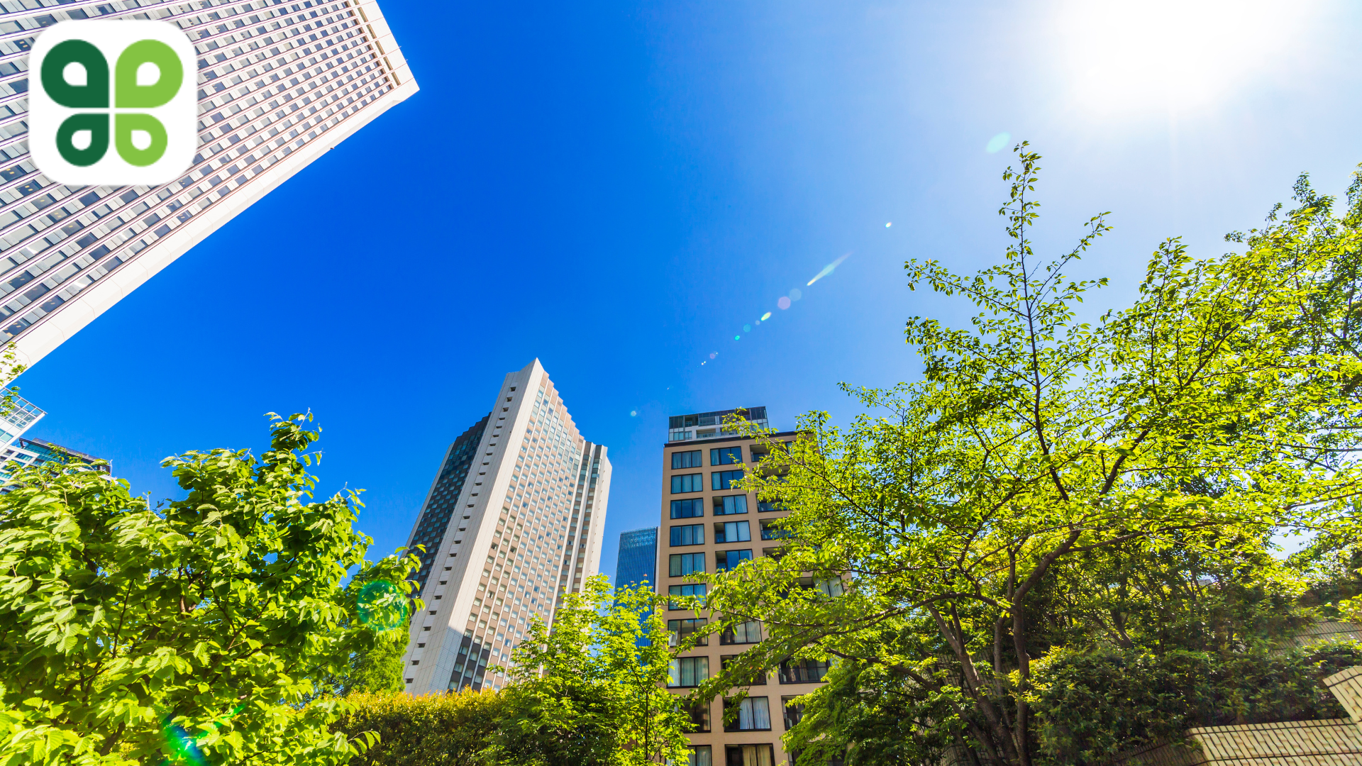 WSJ Pro Newsletter Features Budderfly