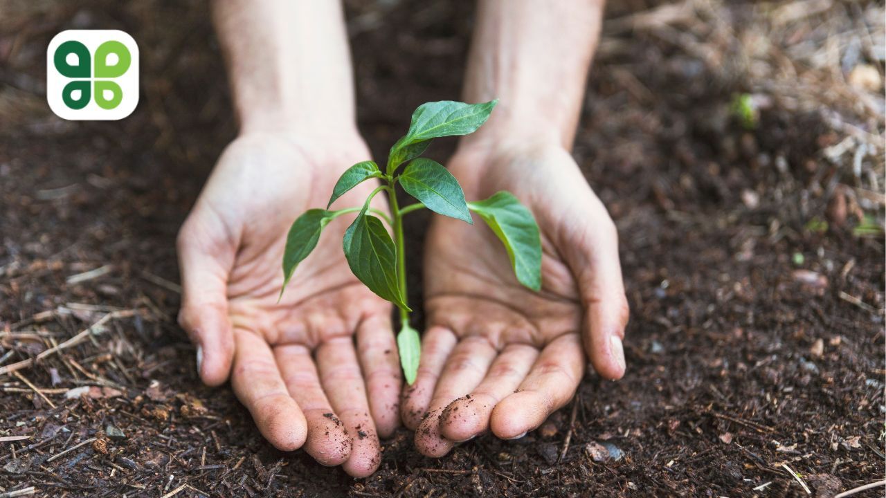 Here's One New Way for Business Owners to Cut Costs and Meet Sustainability Goals