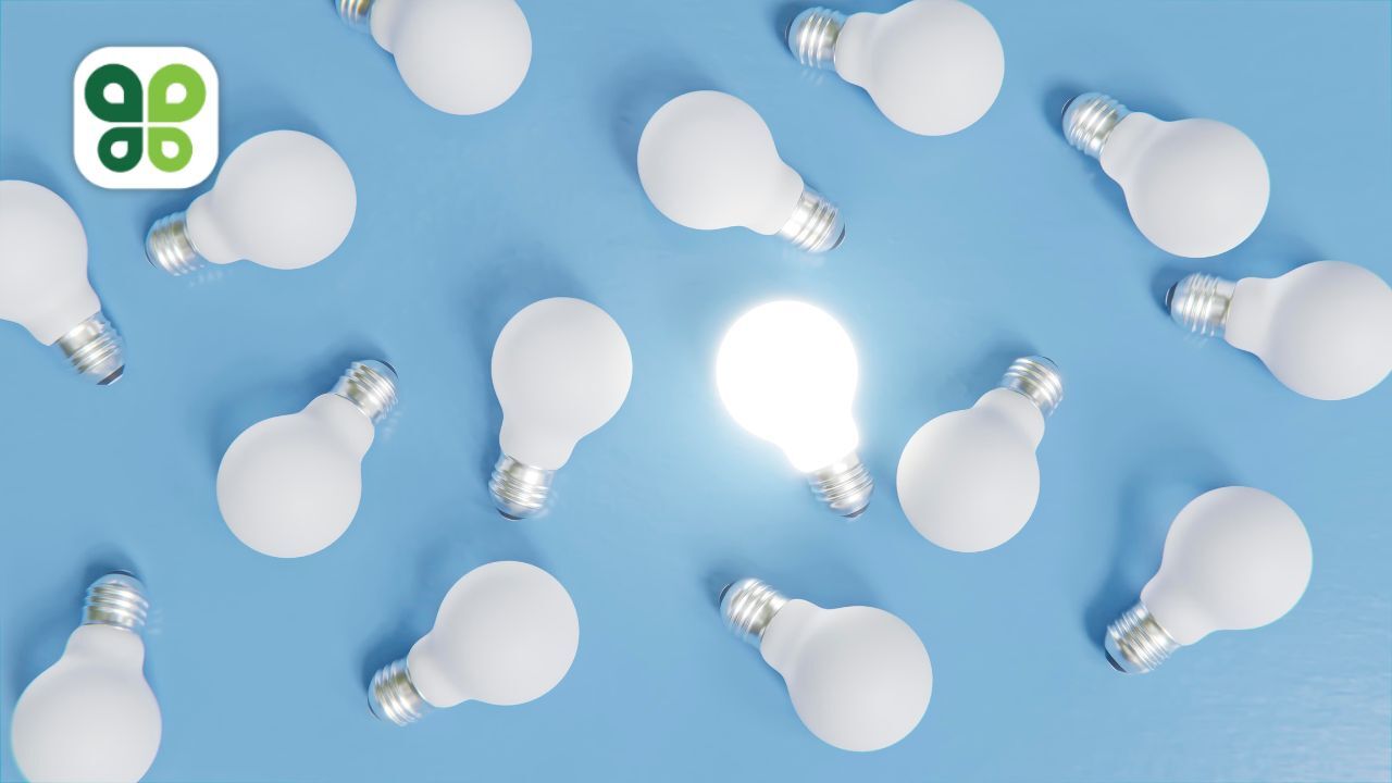 Budderfly, the revolutionary firm in saving energy.