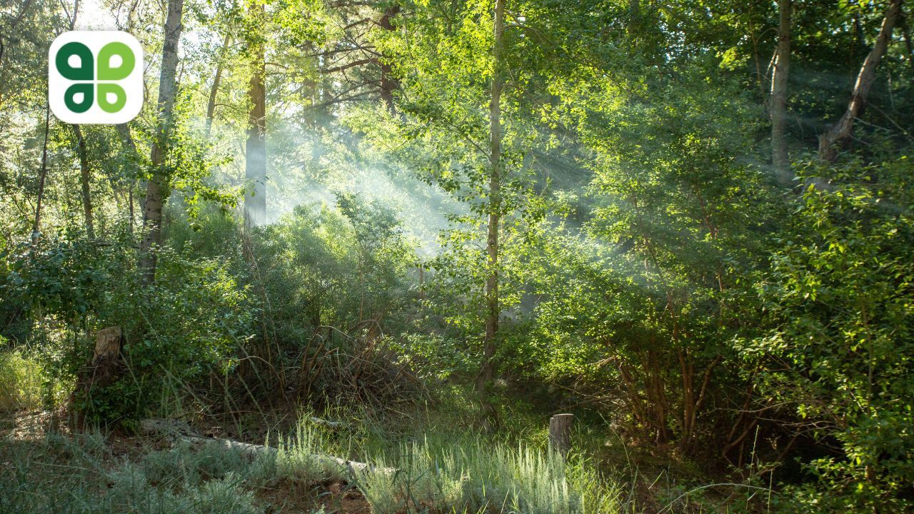 Budderfly Wins 2023 Environment + Energy Leader Award